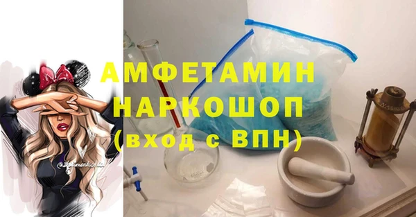 мет Алексин