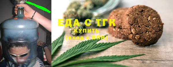 мет Алексин